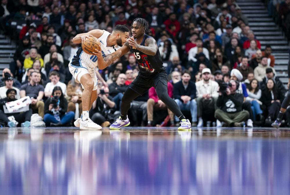 情感的纽带 情感的纽带